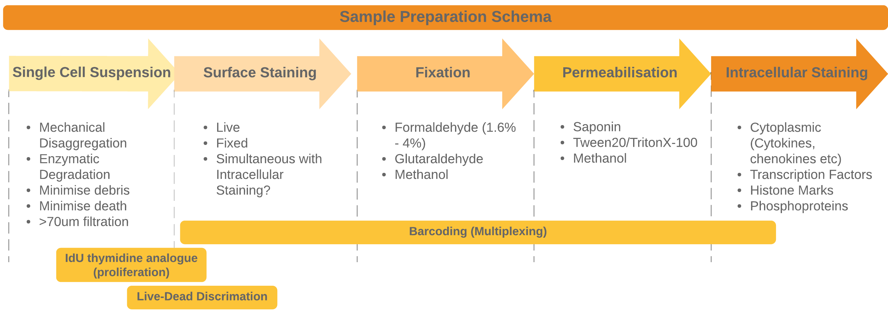 The general approach to sample preparation and staining with some common optional procedures