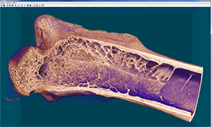 Micro CT Home Image