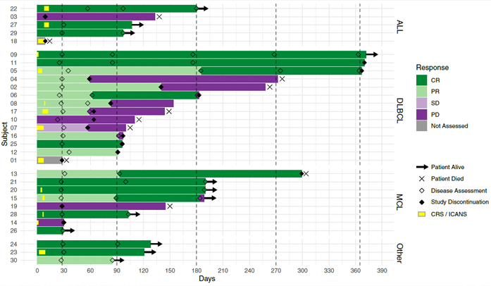 a graph showing responses to a cancer treatment in a clinical trial