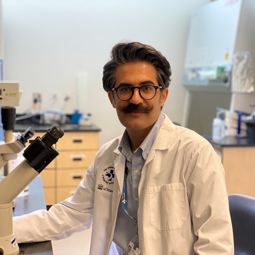 Dr. Ehsan Habibi, The Ottawa Hospital