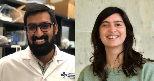 Mohamed S. Hasim and Marie Marotel