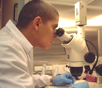 a person in a lab looking through a microscope
