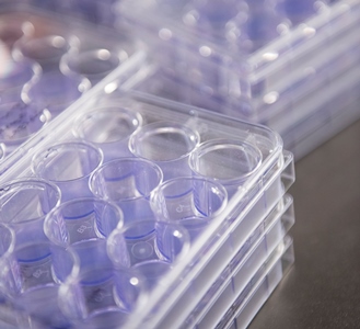 a close up of a tray of plastic containers