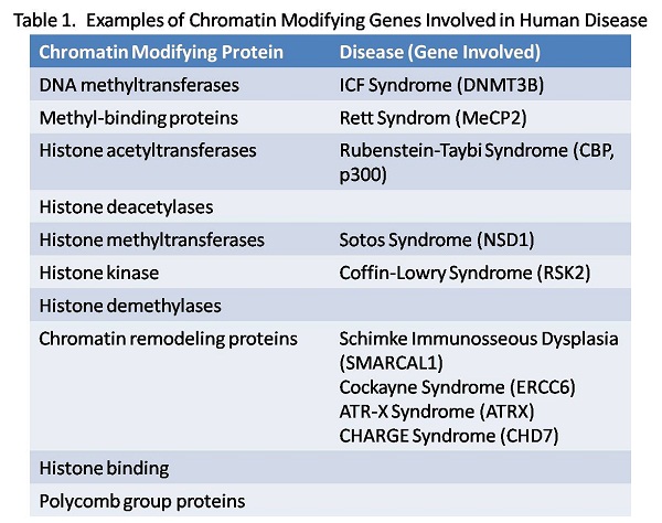 Table showing different biological processes