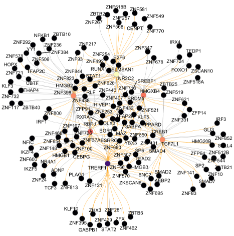 Gene Regulatory Networks