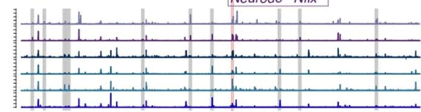 scATAC-seq