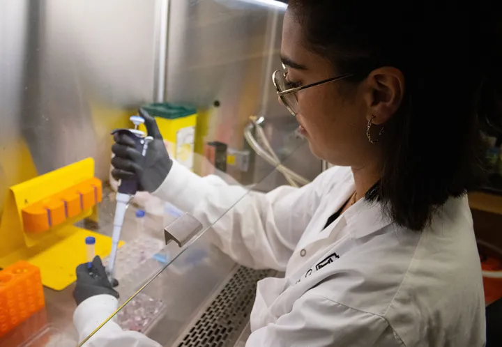 A researcher uses a pipette in a lab