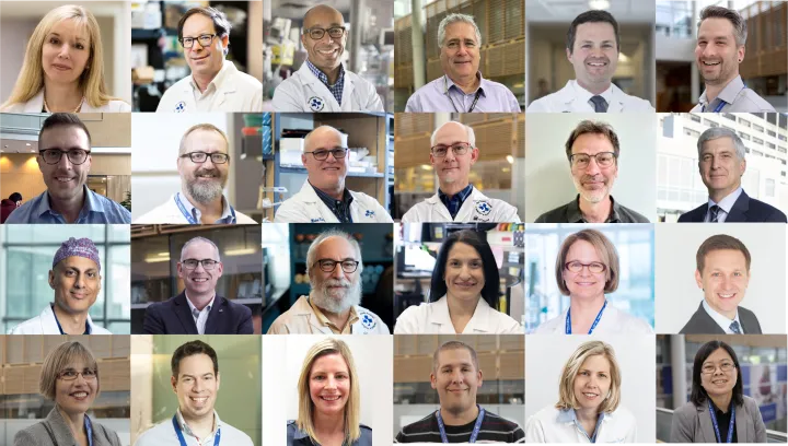 A collage of researchers