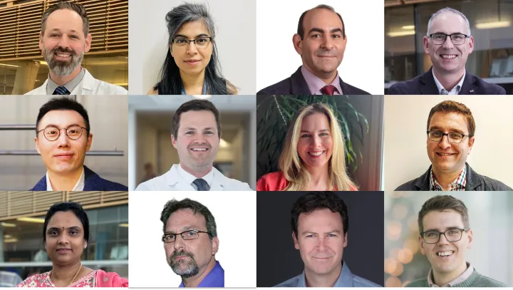 A collage of researchers