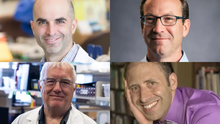 Collage of four researchers