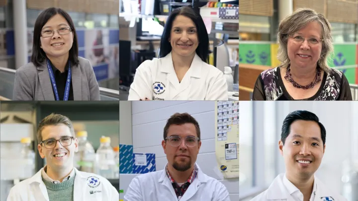 Composite photo of six researchers looking at the camera