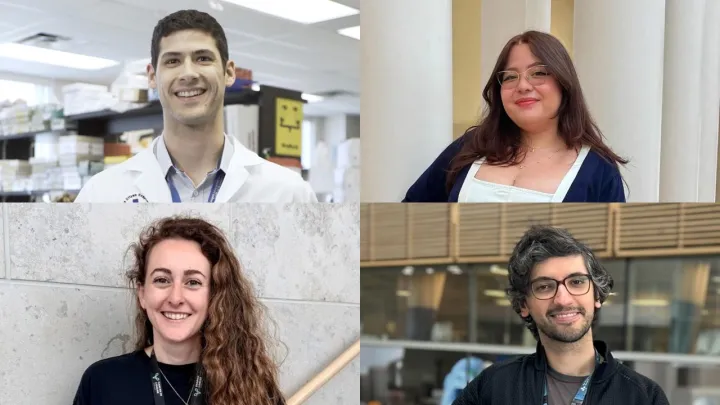 Composite photo of four researchers looking at the camera