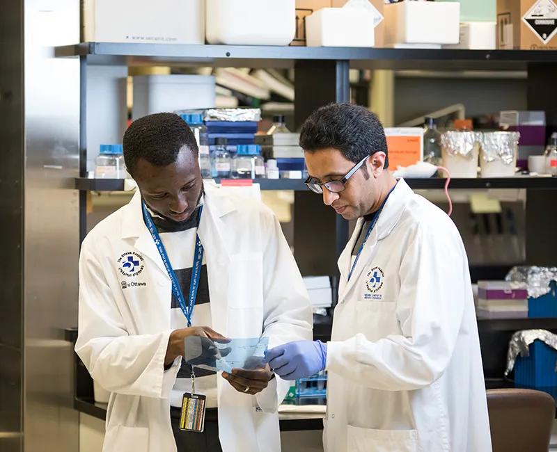 Two researchers in a laboratory