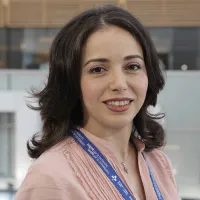 Elham Sabri