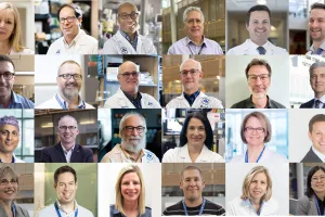 A collage of researchers