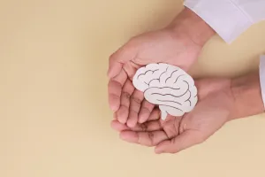 Hands holding a paper brain