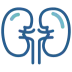 Kidney