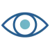 Icon Vision Disease