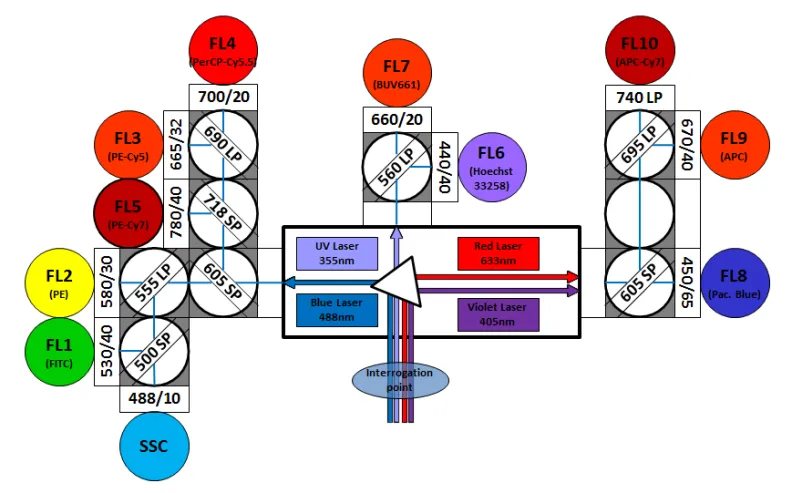 Diagram showing MoFlo XDP configuration using UV laser.