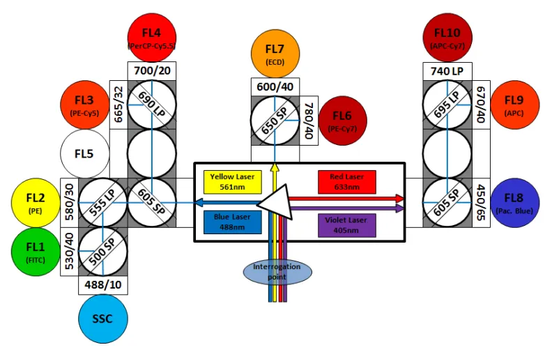 Diagram showing MoFlo XDP configuration using yellow laser.