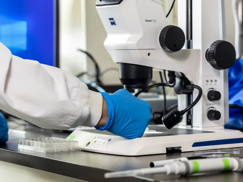 Precision Medicine and Molecular Oncology