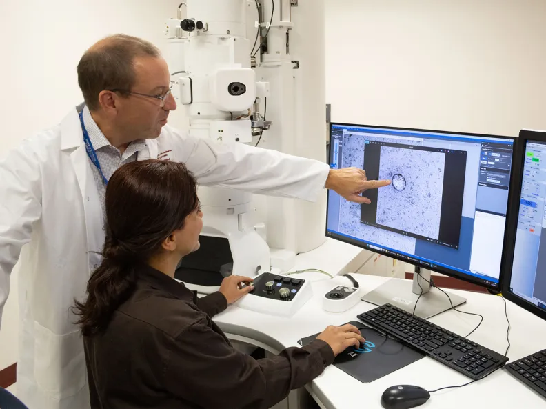 Researchers look at scientific images on a computer screen