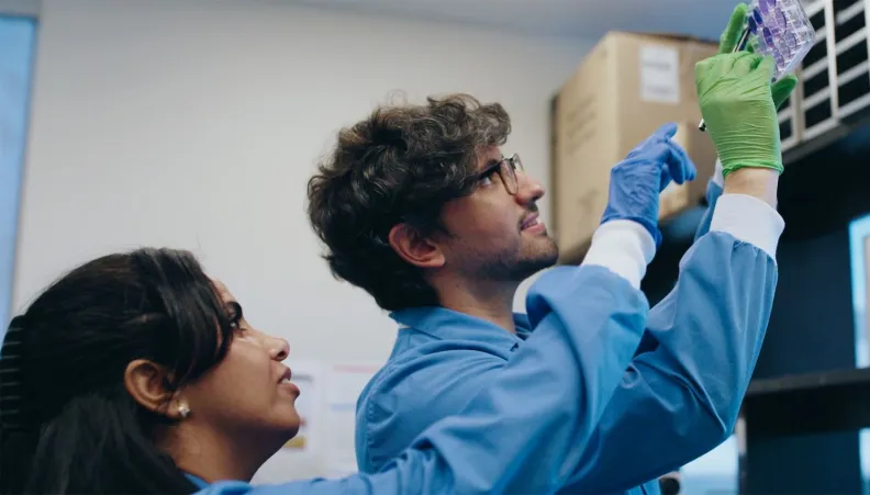 Researchers in a lab