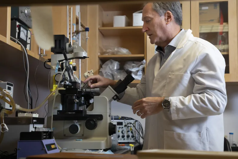 Person in a lab with a microscope