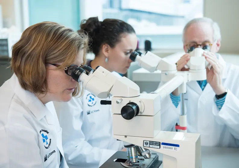 Three people look in microscopes in a lab