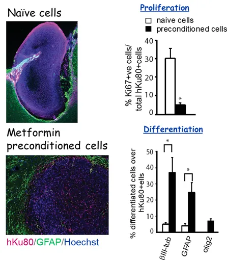 images of a cell and graph