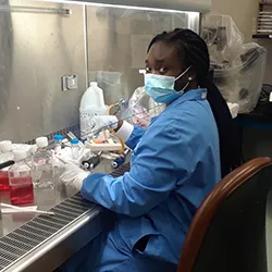 Researcher working with tissue in a lab