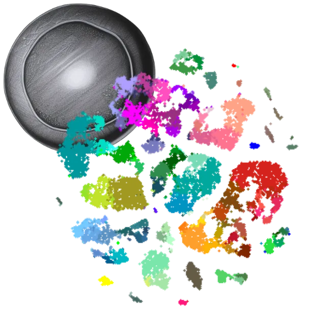 A logo consisting of a pencil drawn cell alongside a UMAP